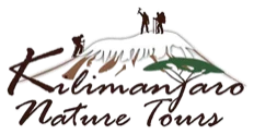 Kilimanjaro Nature Tours