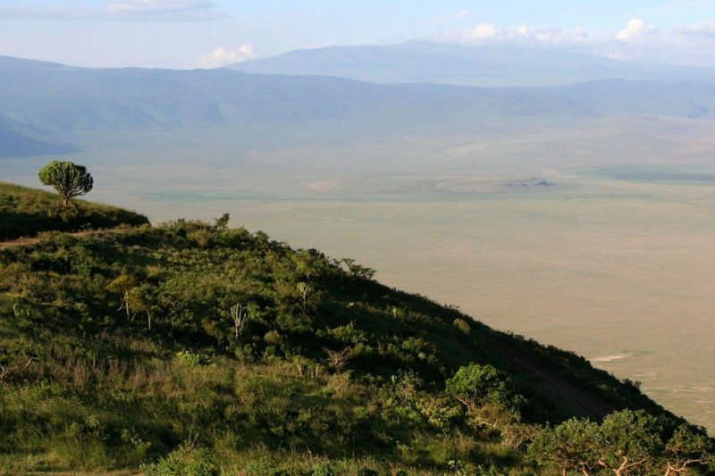 Northern Tanzania Safari