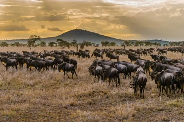 Serengeti National Park