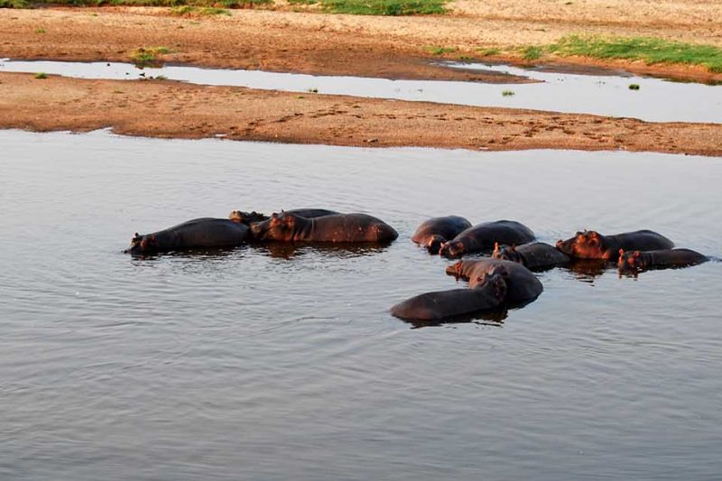 11 Days Southern Tanzania Adventure