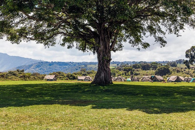 6 Days Camping Safari to Arusha, Tarangire, Serengeti and Ngorongoro