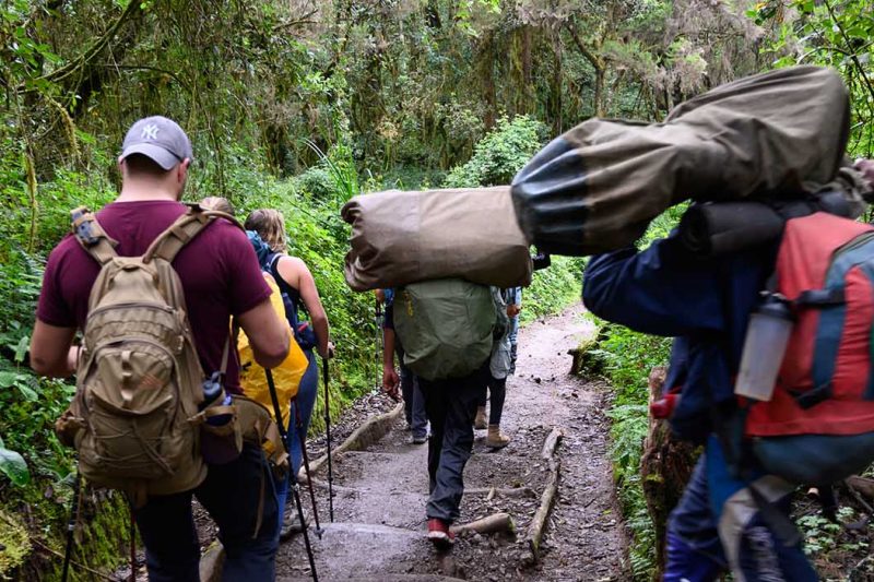 7 Days Machame Route Itinerary